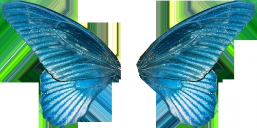 Вот крылышки.