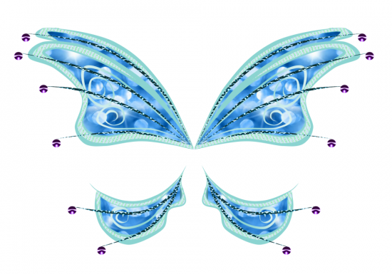 Первые крылья)))