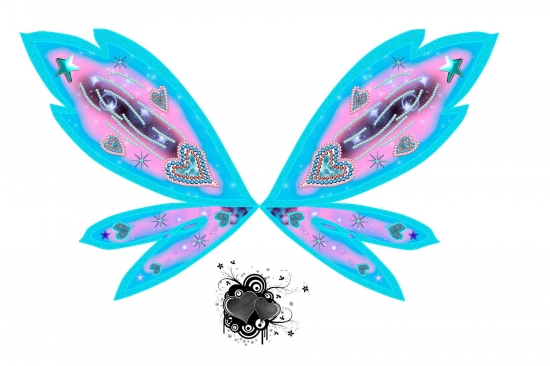 Крылья Блум