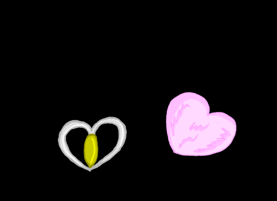 Блум чармикс