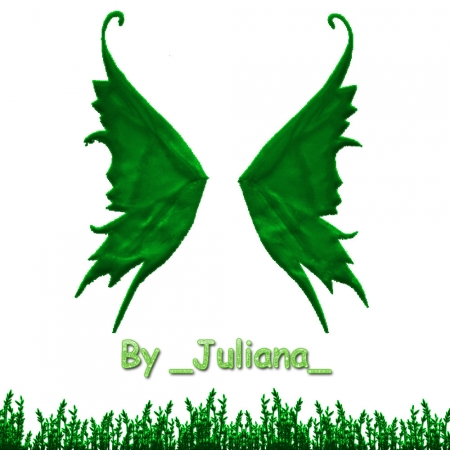 Крылья феи леса