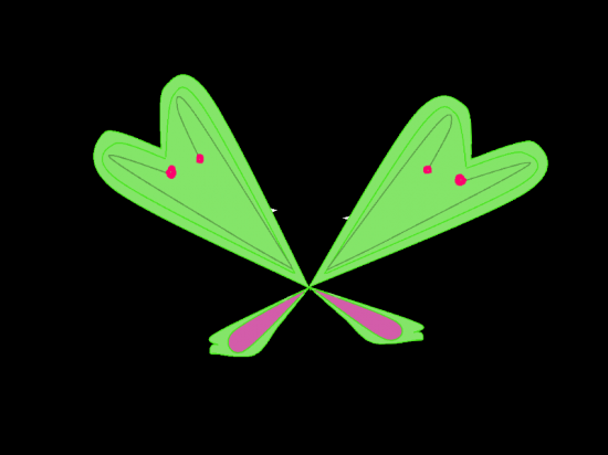 Крылья Софикса Рокси