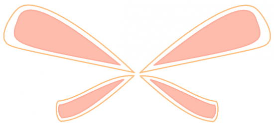 Крылья Новы и Мики