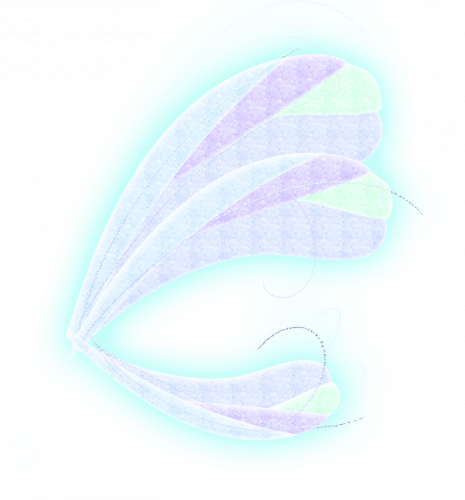 И еще одно крыло...