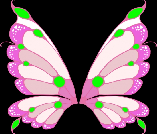 Nika's wings enchantix