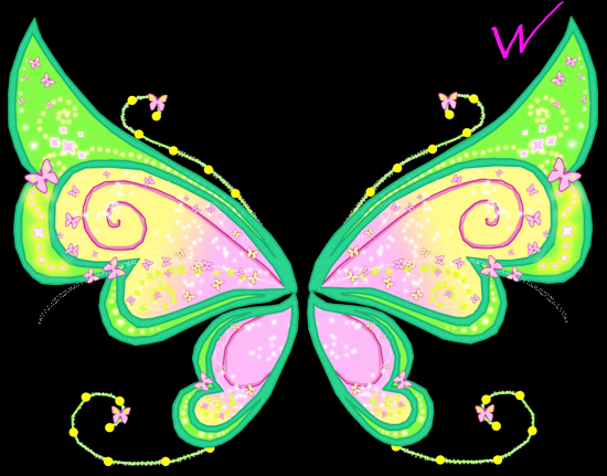 Крылья Рокси во Флайриксе
