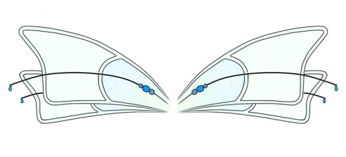 Крылья Ксен - нарисовка мультфильма