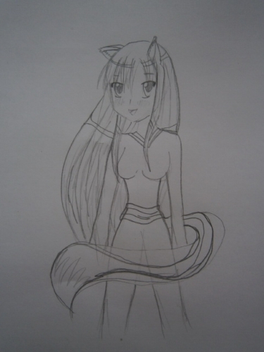 Holo