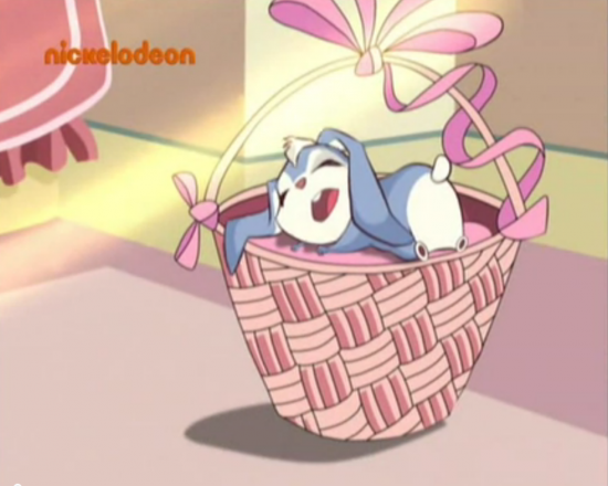 Кико спит в своей корзинке