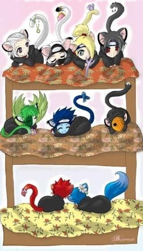 Акацуки неки