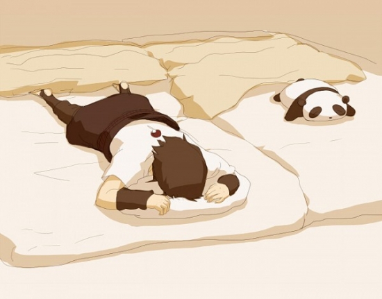 Саске и панда