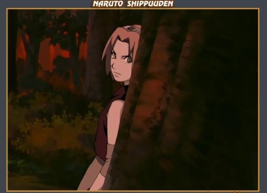 Shippunden Sakura