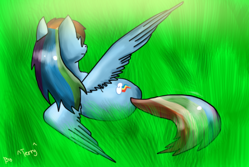 Рэйнбоу Дэш