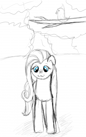 Флатти в лесу