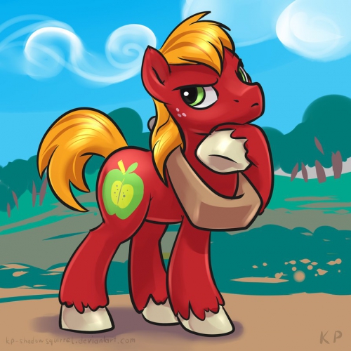 Пони большой Мак