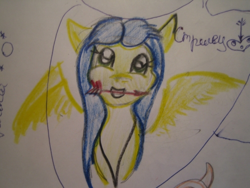 Знаки Зодиака-Стрелец