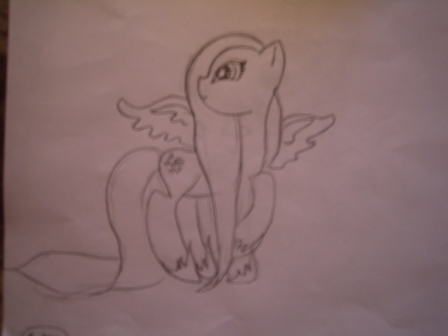 Понификация Katren03