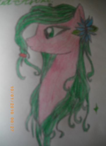 Подарок, для милой Ка-Анж! :3