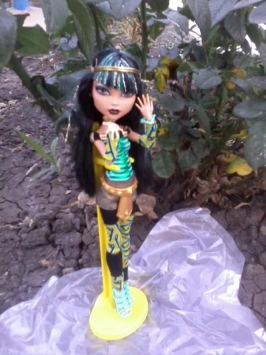 Картинки кукол Школа Монстров (Monster High) 519