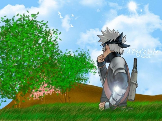 Какаши на природе