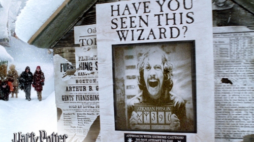 Плакат с Сириусом