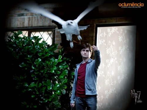 Гарри отпускает Буклю