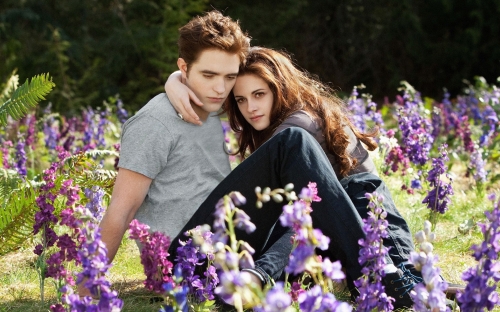 Сумерки Новолуние, картинка на рабочий стол