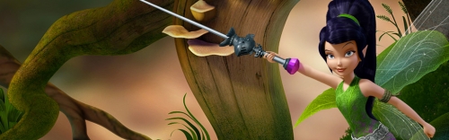 Видия - фея пират