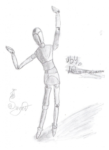 Художественные 255