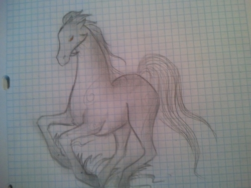 Темная лошадка