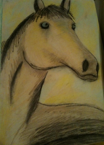 Художественные 59