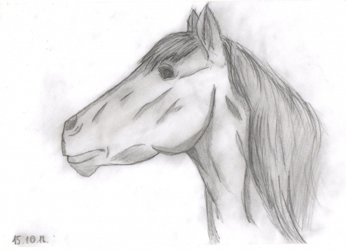 Лошадь)