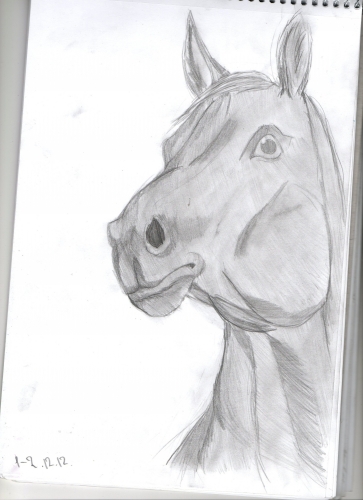 И ещё одна лошадка))))