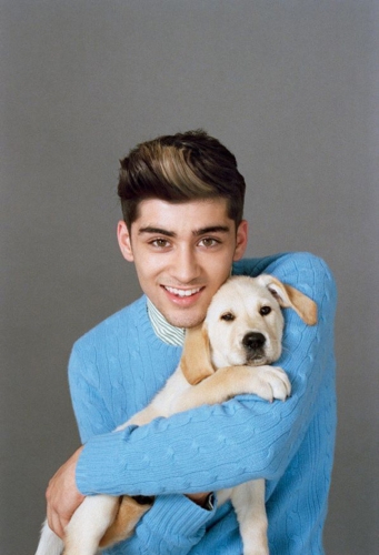 Зейн Малик с щенком