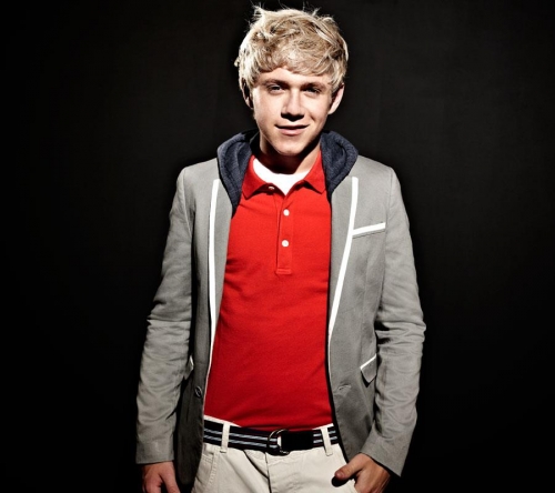 One Direction Найл Хоран