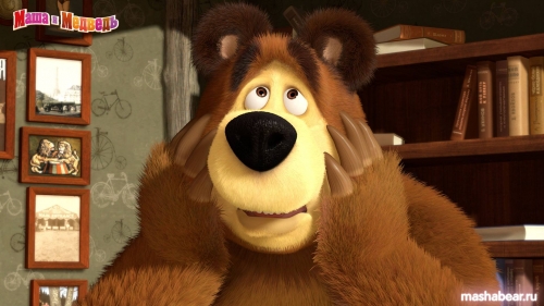 Медведь в отчаянии