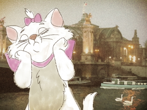 Кошка Мари