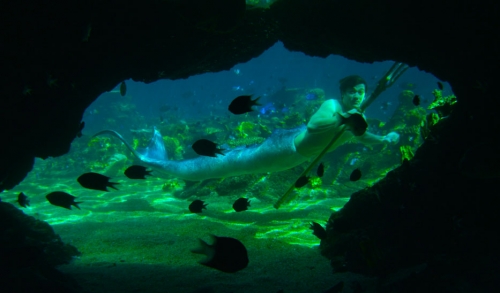 Секрет острова Мако