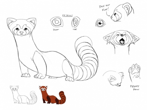 Огненный хорек Пабу, концепт арт