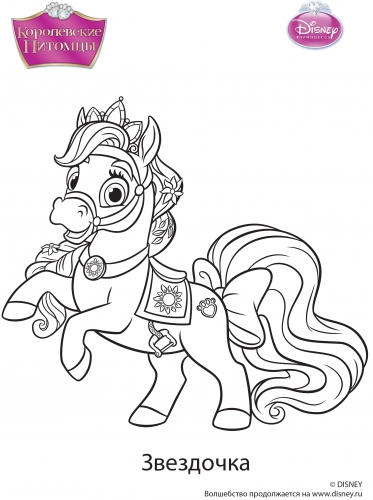 Королевские питомцы раскраска со Звездочкой