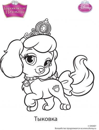 Королевские питомцы раскраска с Тыковкой