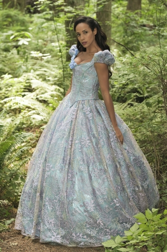 Однажды в сказке Золушка - жена Генри