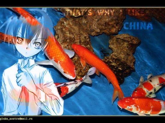 Shaman King Рен Тао