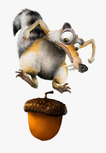 Белка прячет орех