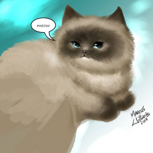 Hero Cats быстрый рисунок Белль