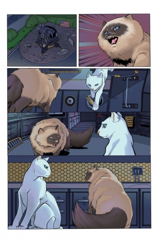 Hero Cats из комикса