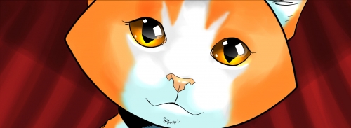 Hero Cats Cassiopeia