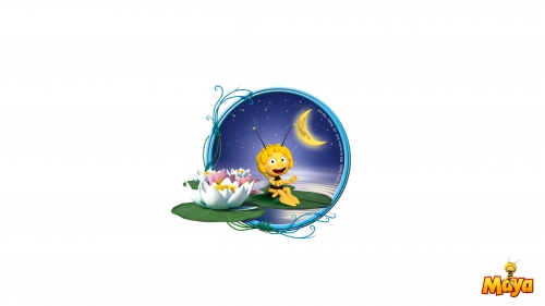 Пчелка Маяй и ночь