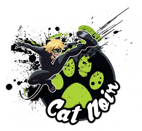 Cat Noir