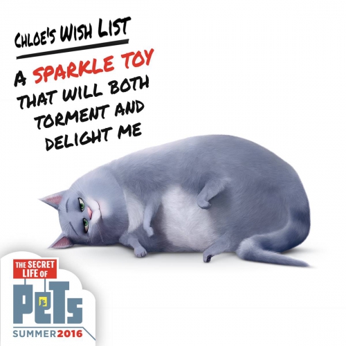 Ленивая кошка Хлоя